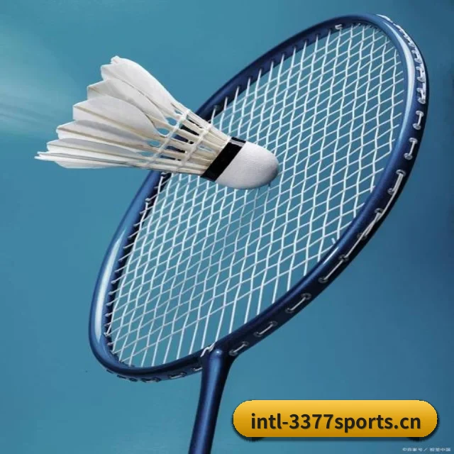 3377体育 APP
